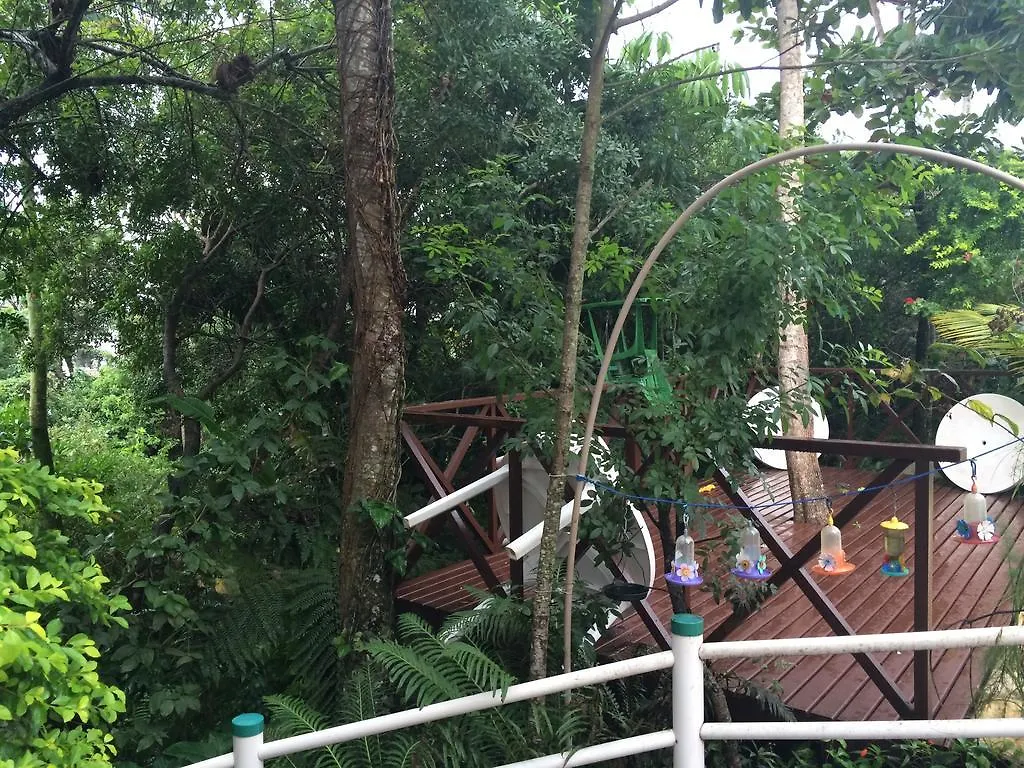 Hotel Pousada Reimar Balneário Camboriú 3*,  البرازيل